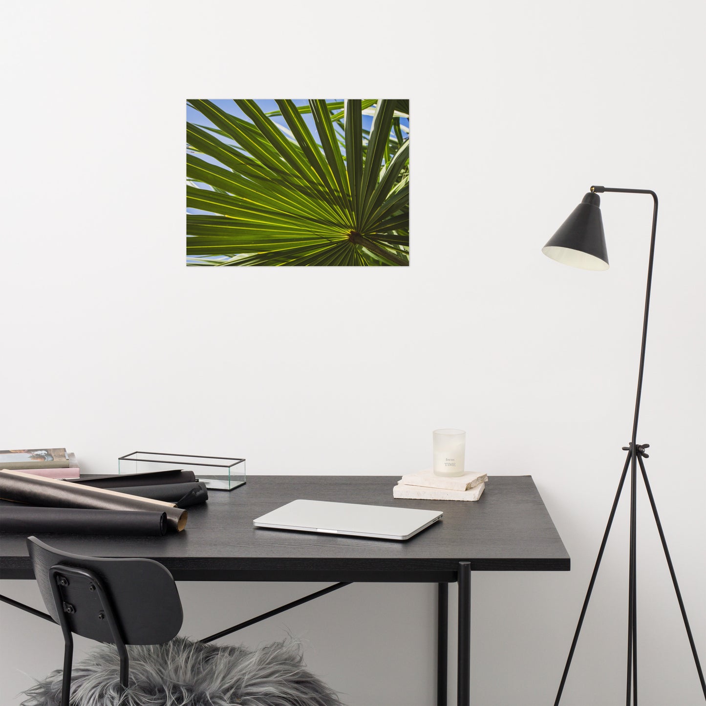 Colorized Wide Palm Leaves Botanical Nature Photo Loose Unframed Wall Art Prints