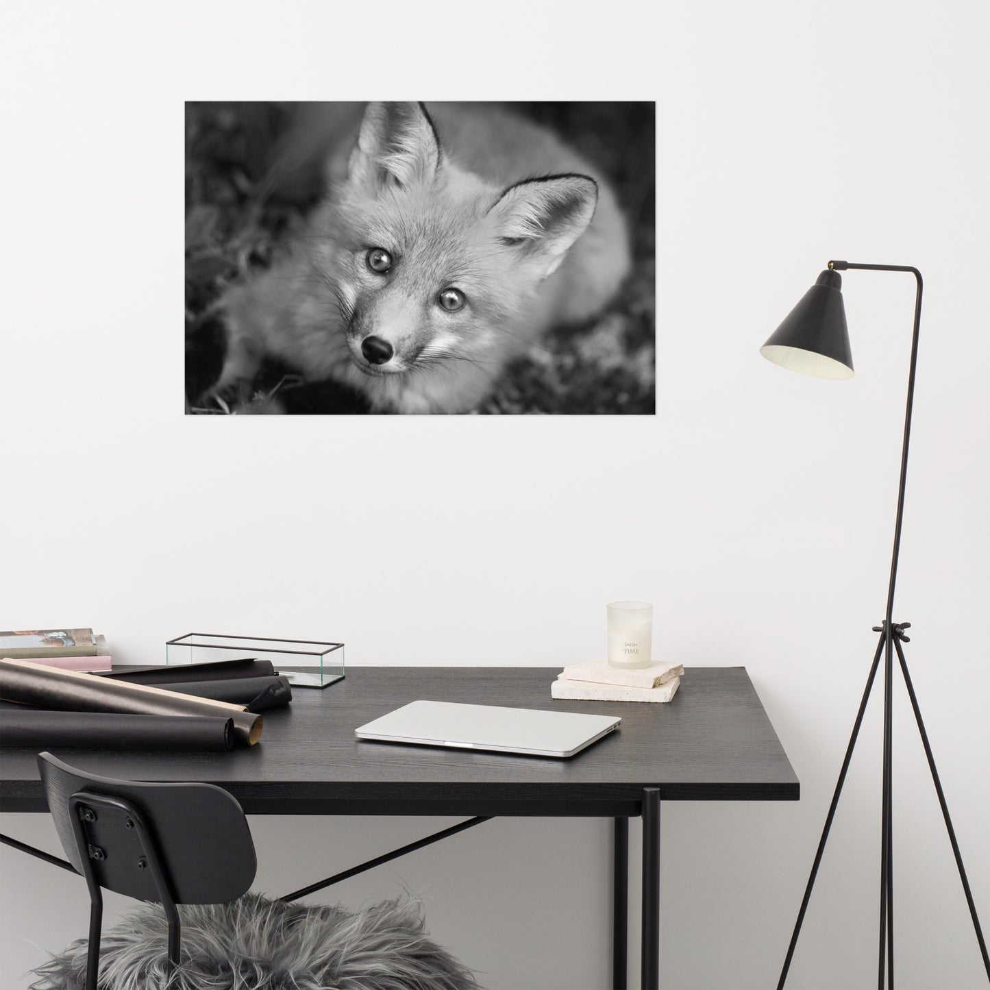 Young Red Fox Face Black and White Animal Wildlife Rustic Farmhouse Style Nature Photograph Loose Wall Art Print