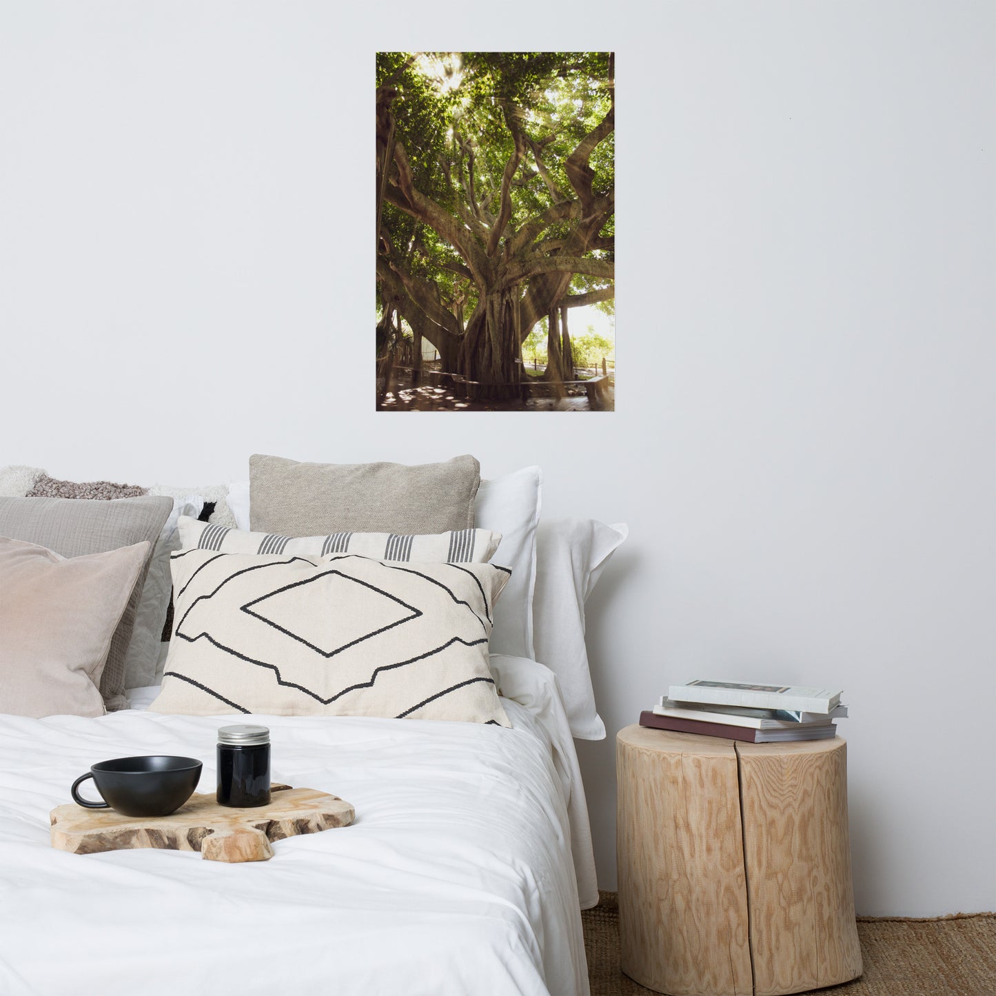 Banyan Tree With Glory Rays of Sunlight Botanical Nature Photo Loose Unframed Wall Art Prints