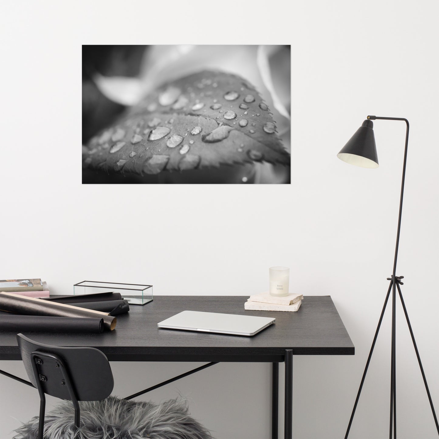 Dew on Leaf of Rose Plant Black and White Rustic Botanical Nature Photo Loose Unframed Wall Art Prints
