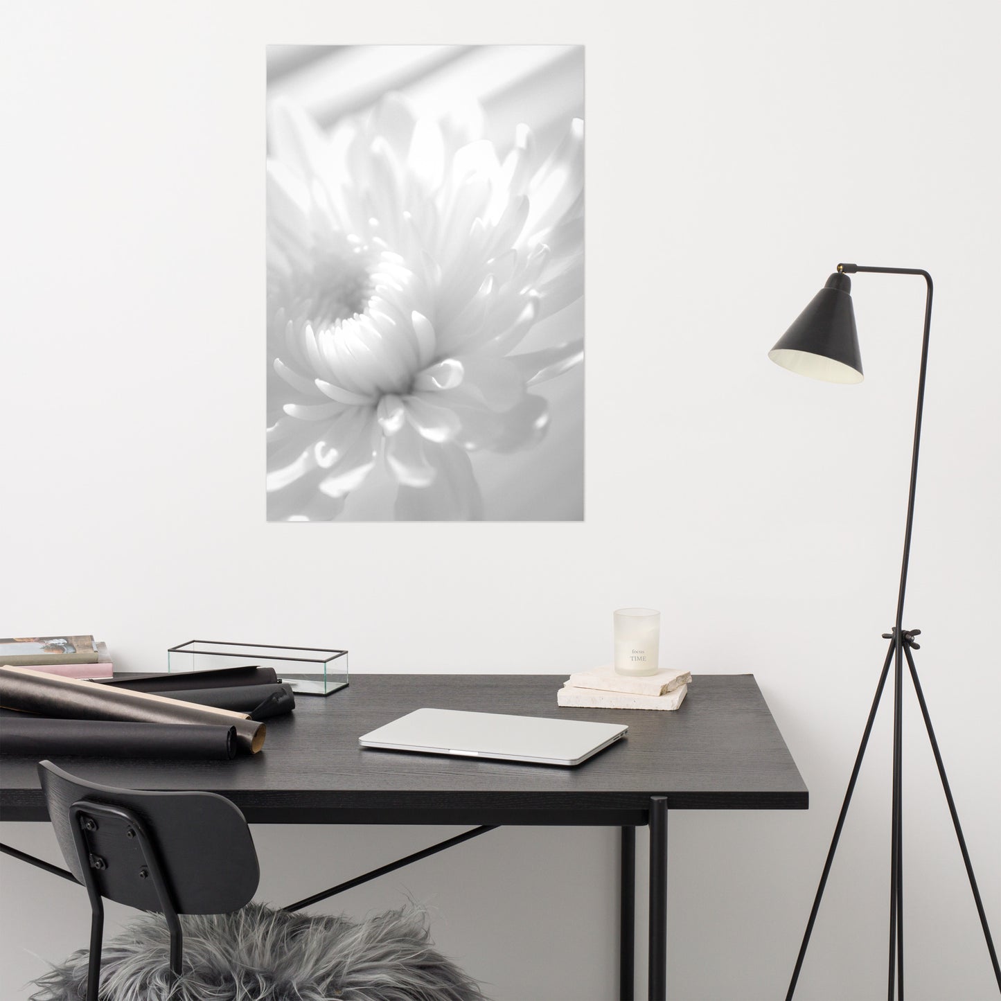 Infrared Flower Black and White Floral Nature Photo Loose Unframed Wall Art Prints