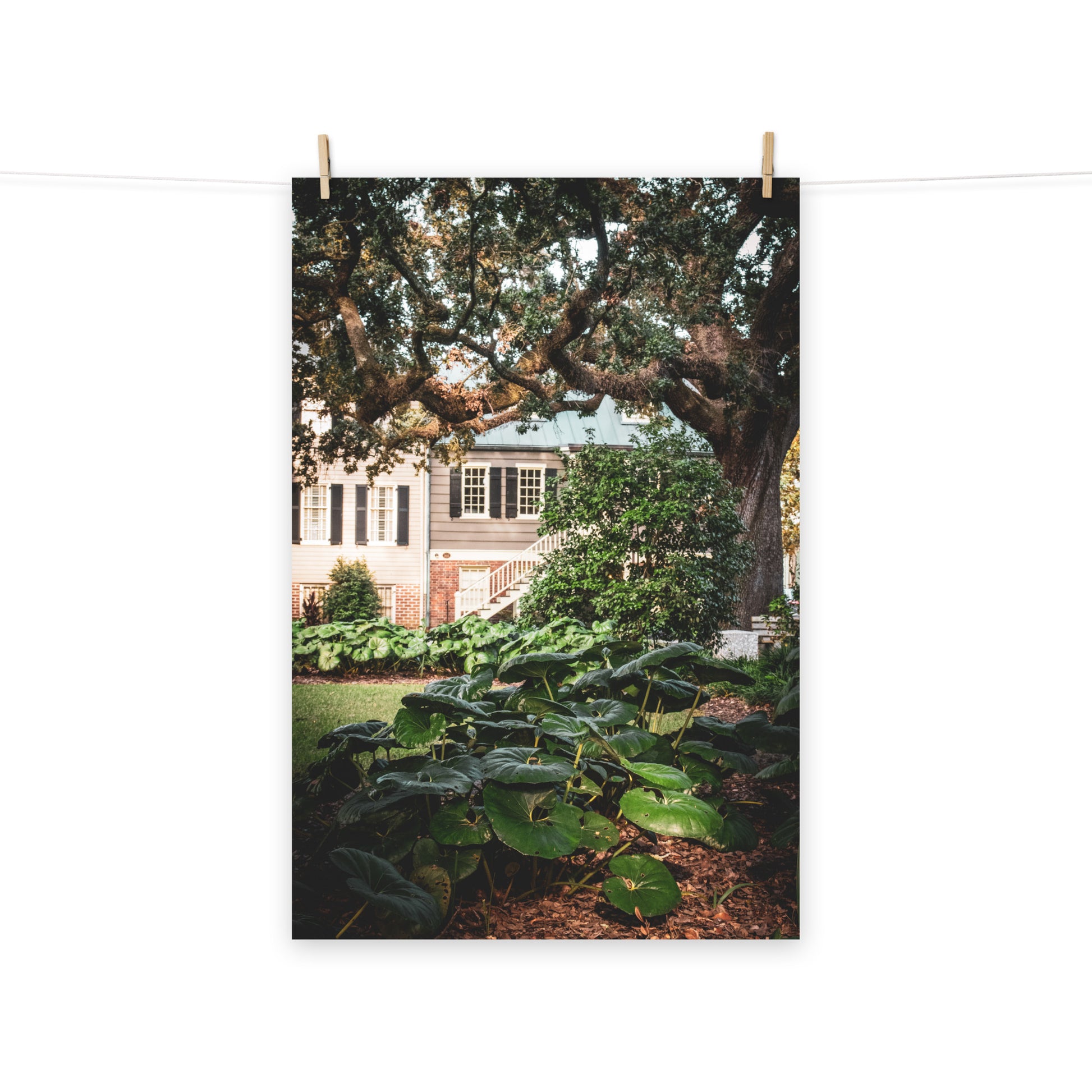 Botanical / Nature Landscape / Cityscape Abstract Decor Simon Mirault House and Washington Square Park Savannah Ga Loose Wall Art Print 8" x 10"