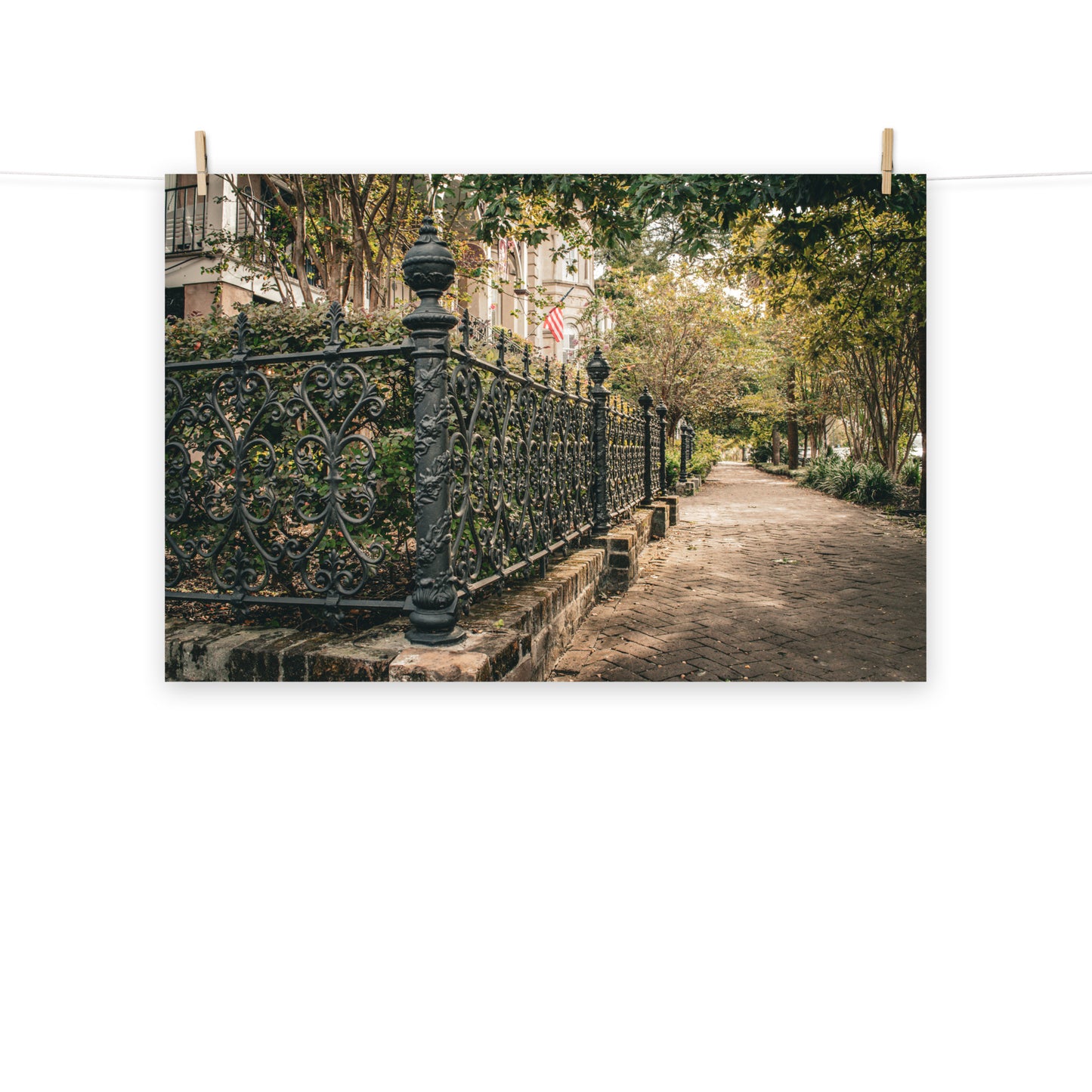 Architectural / Industrial / Cityscape Abstract Decor Old Wrought Iron Fence Savannah Ga 3 Loose Wall Art Print 8" x 10"