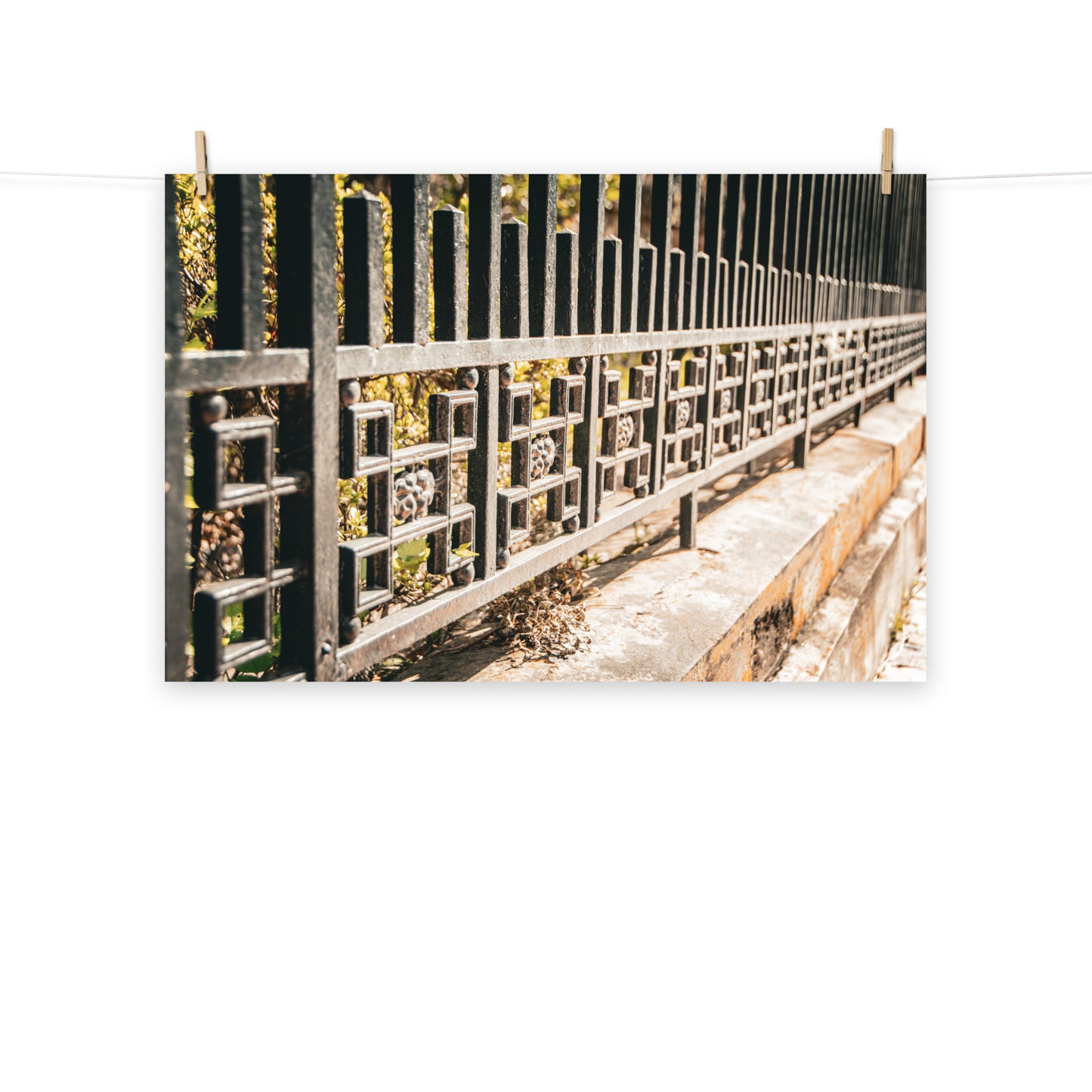 Architectural / Industrial / Cityscape Abstract Decor Old Wrought Iron Fence Savannah Ga 4 Loose Wall Art Print 8" x 10"