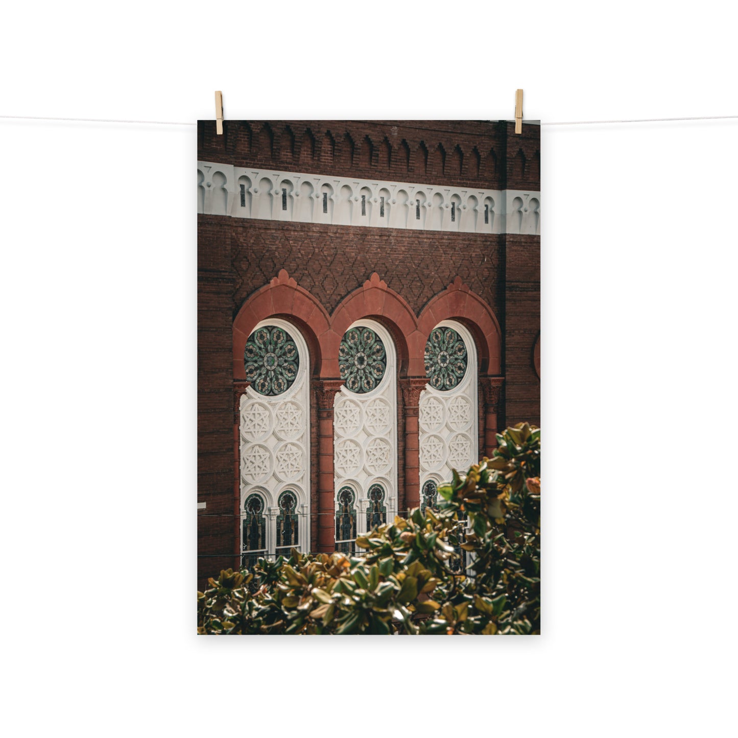 Architectural / Industrial / Cityscape Abstract Decor Windows of SCAD Student Center Savannah Ga Loose Wall Art Print 8" x 10"