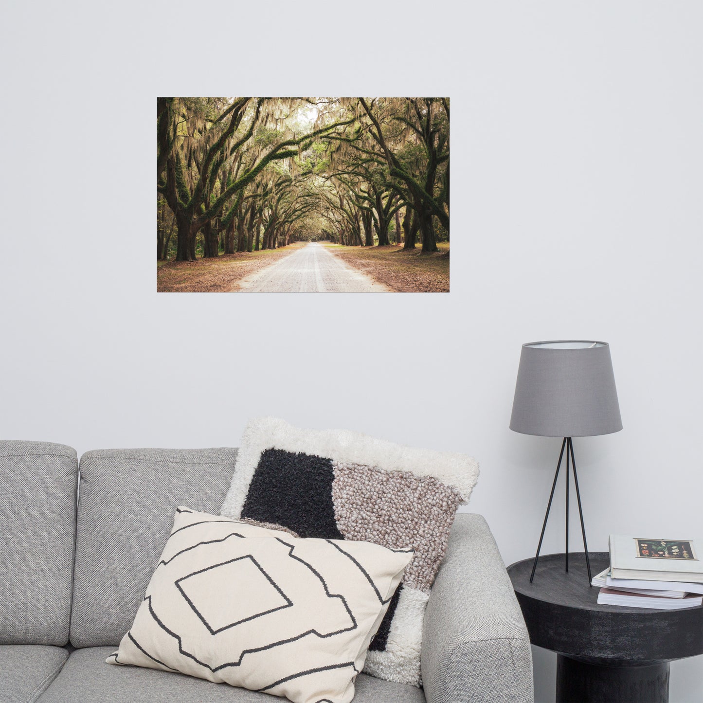Live Oak Trees and Spanish Moss Roadway Savannah Ga Rustic Farmhouse Style Nature Landscape Photo Loose Wall Art Print