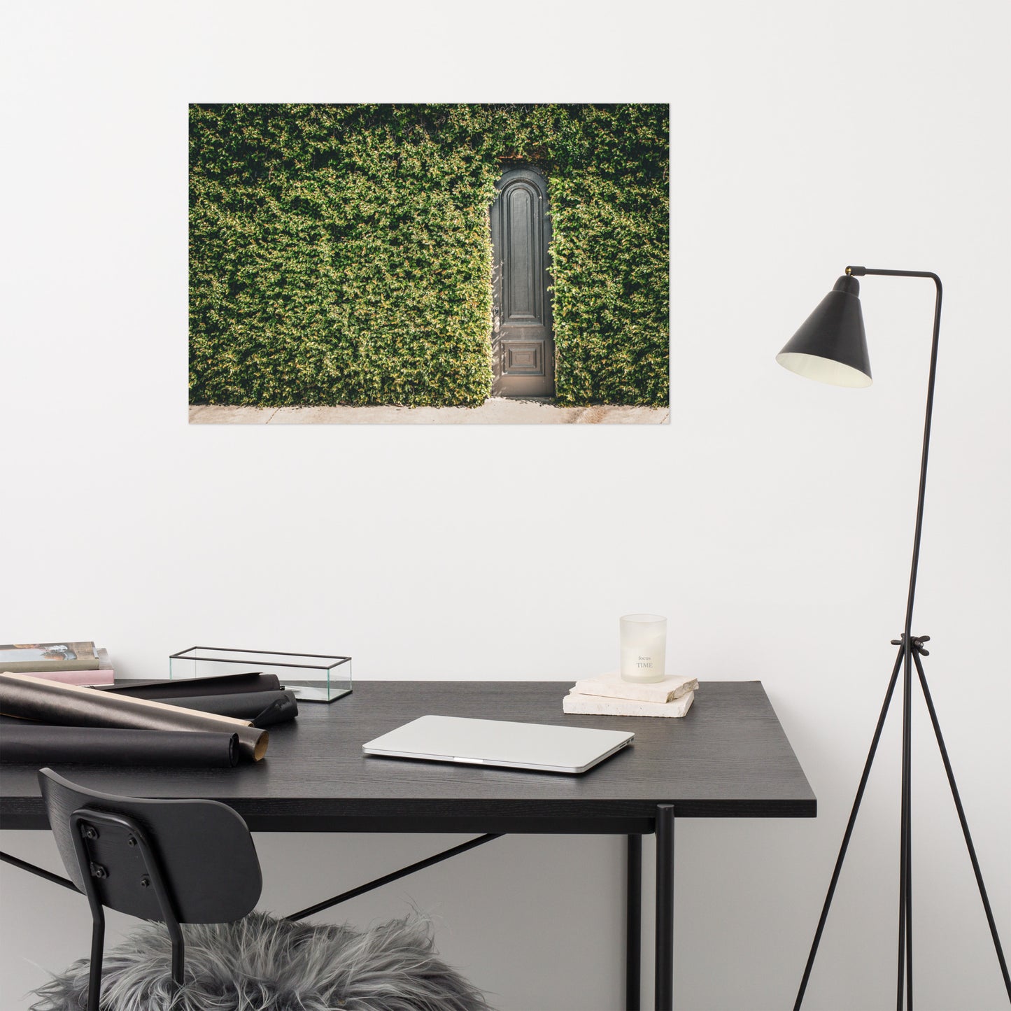 Old Wooden Door and Ivy Savannah Ga Nature Architectural Photograph Loose Wall Art Print
