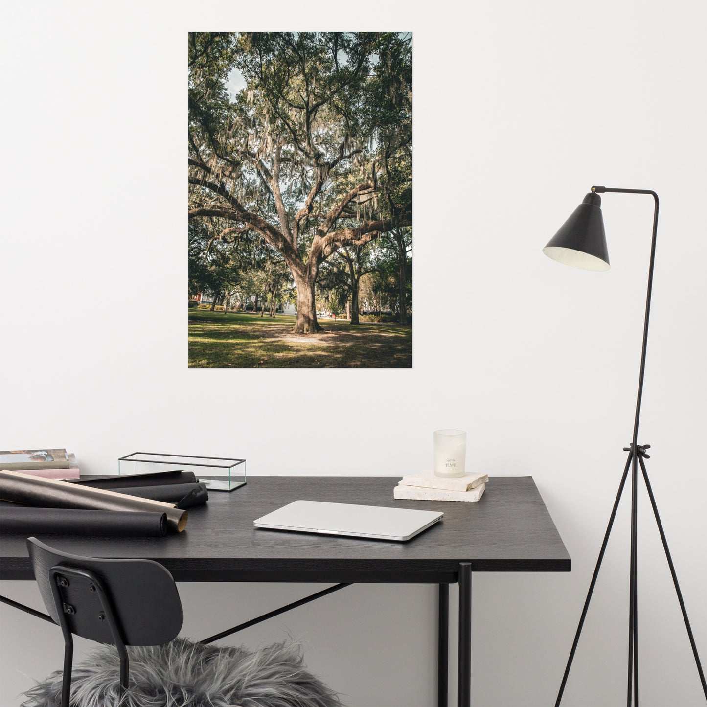 Live Oak Tree & Spanish Moss Forsyth Park Savannah Ga Rustic Farmhouse Style Nature Photo Loose Wall Art Print