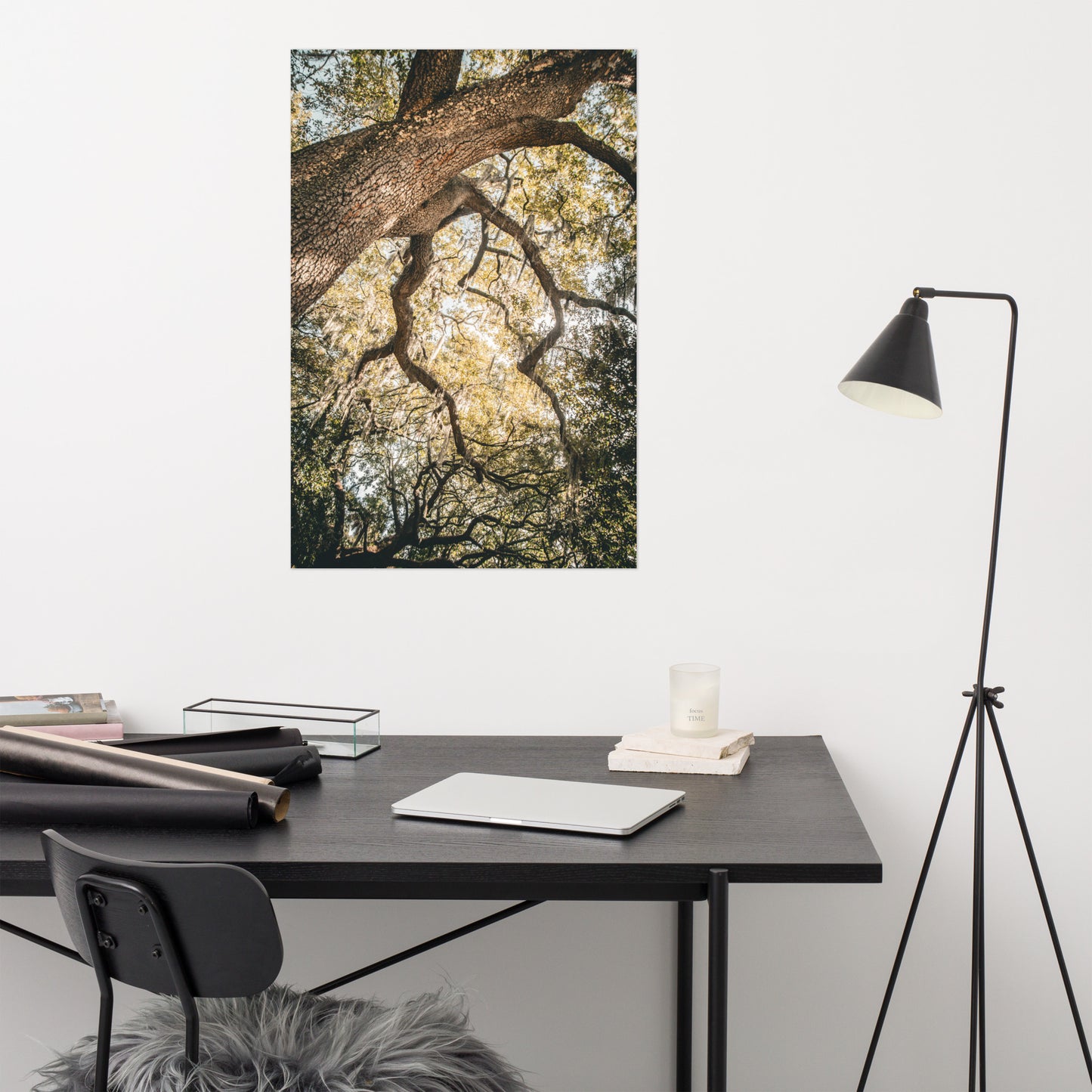 Live Oak Tree & Spanish Moss Forsyth Park Savannah Ga 2 Rustic Farmhouse Style Nature Photo Loose Wall Art Print