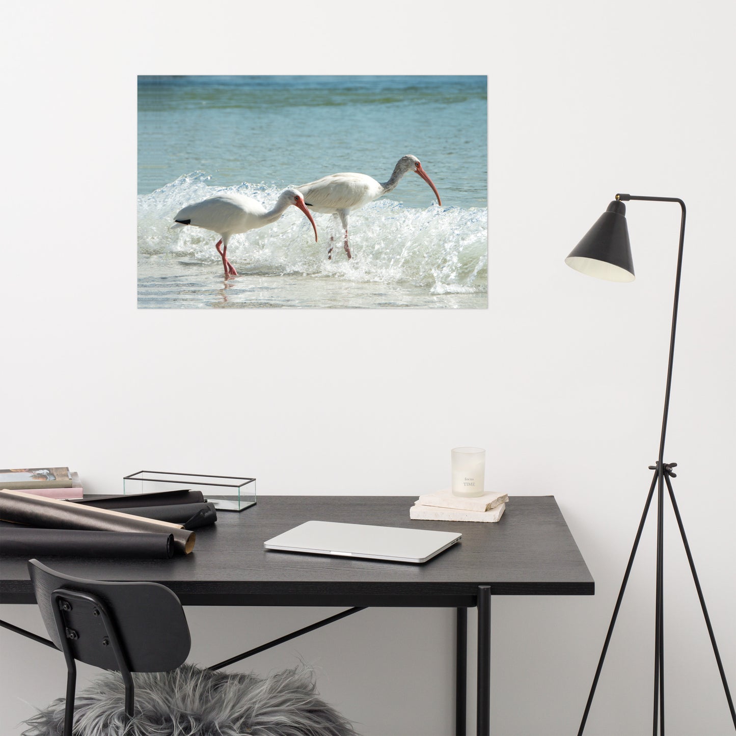 White Ibises on the Shore Traditional Color Coastal Wildlife Photograph Wall Art Print