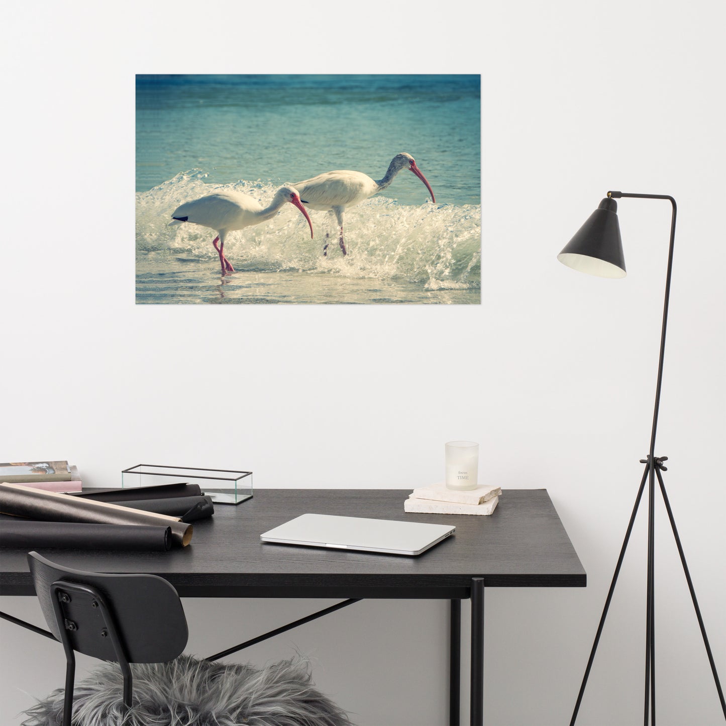 White Ibises on the Shore Colorized Coastal Wildlife Photo Loose Wall Art Print