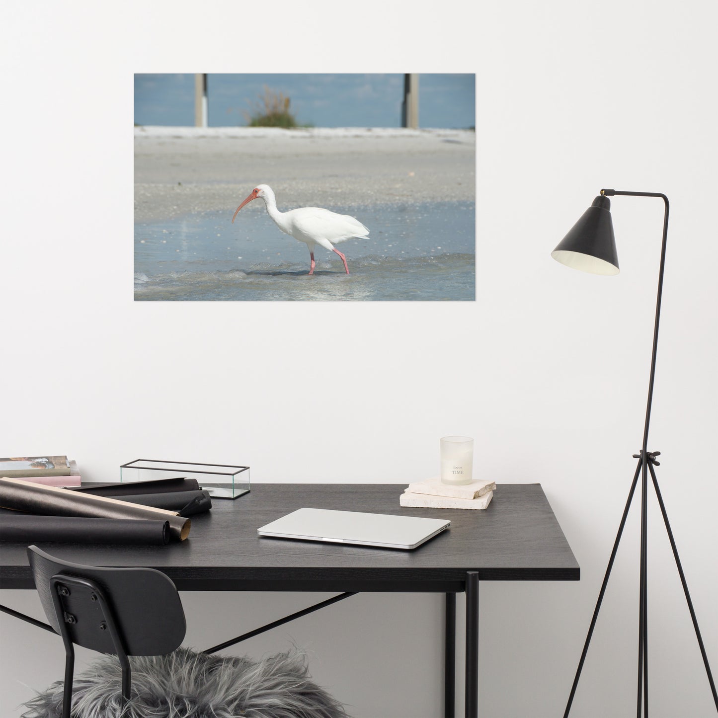 White Ibis on the Shore Coastal Wildlife Photo Loose Wall Art Print