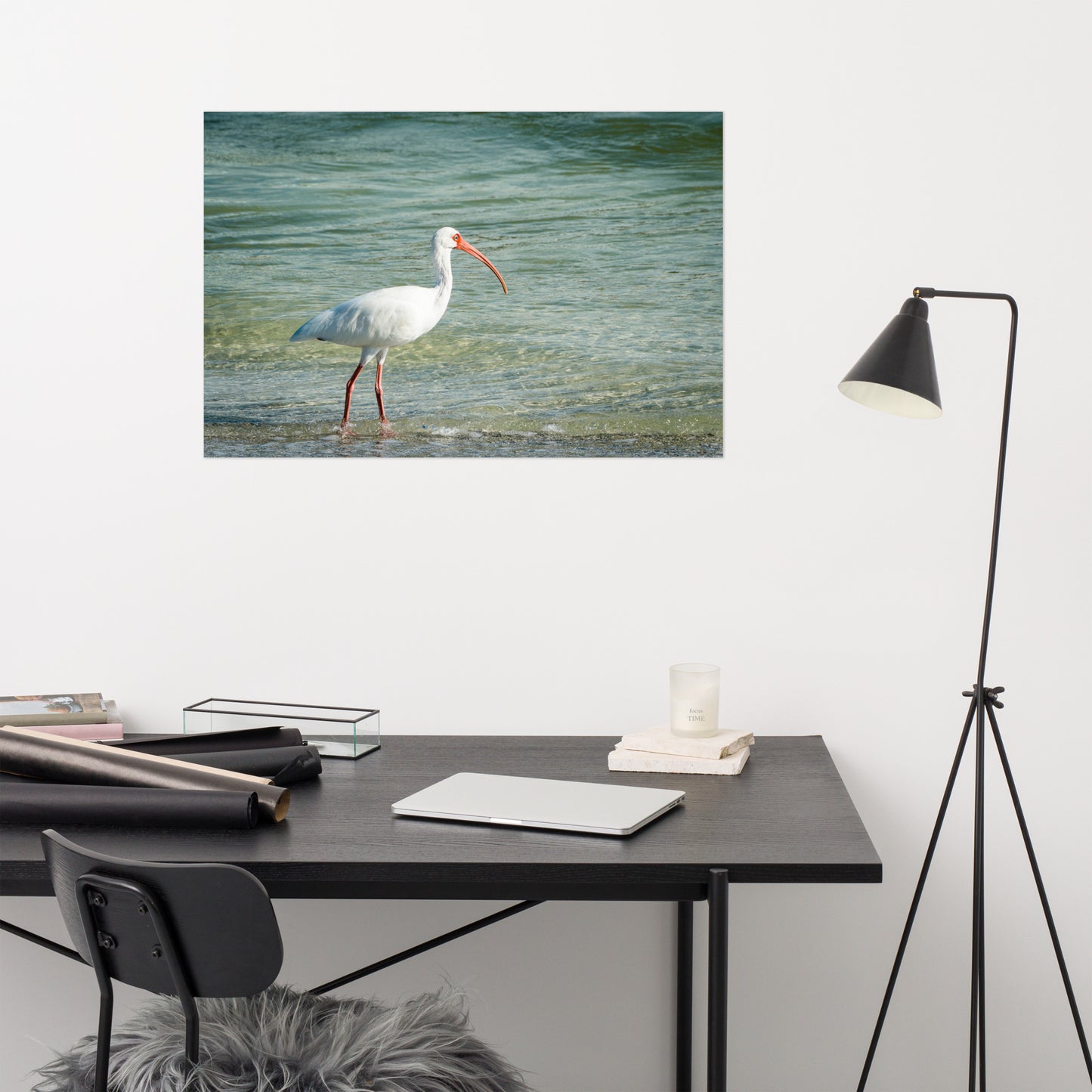 Daydreaming Ibis of the Coast Wildlife Photo Loose Wall Art Print