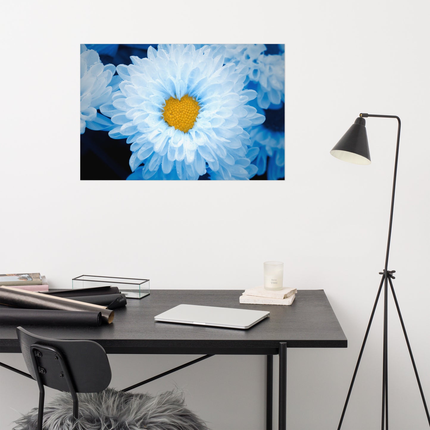 Blue Tinted Chrysanthemums Floral Nature Photo Loose Wall Art Print