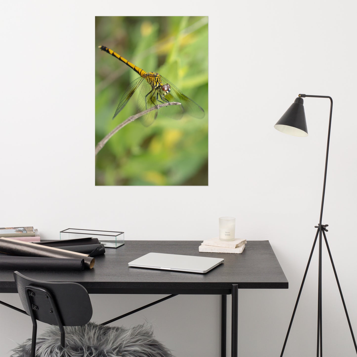 Dragonfly on Twig Wildlife Farmhouse Style Photograph Loose Wall Art Print