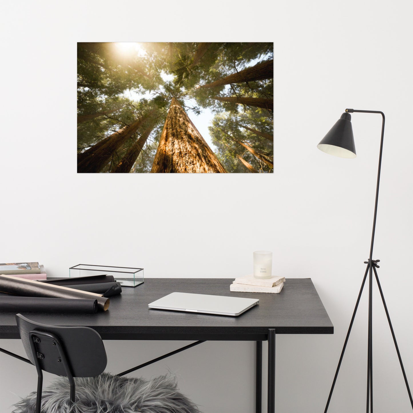 Looking Up Pine Trees Rustic Farmhouse Style Botanical Nature Photograph Loose Wall Art Print