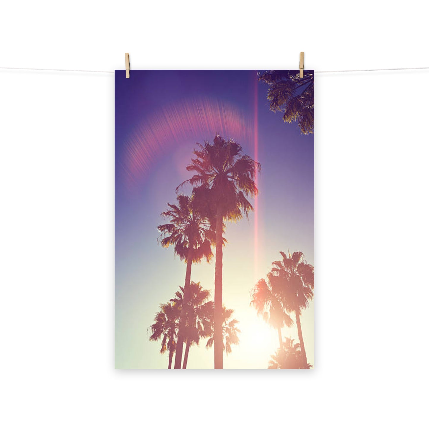 Retro Palm Trees Coastal Beach Botanical Nature Photograph Loose / Unframed Wall Art Print