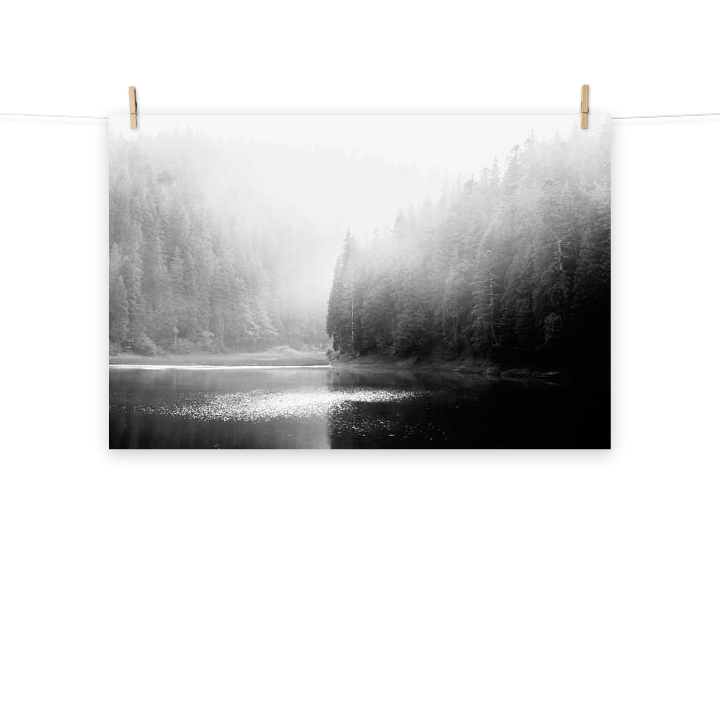 Foggy River and Pine Trees Rustic Landscape Photograph Loose Unframed Wall Art Print