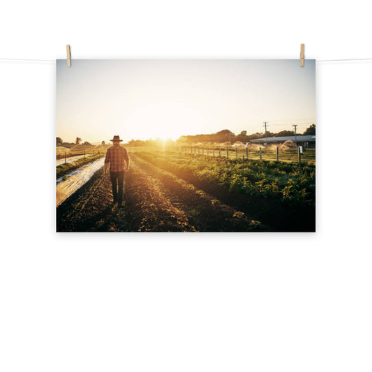 Farm Life - Country Style Landscape Photograph Loose Wall Art Print