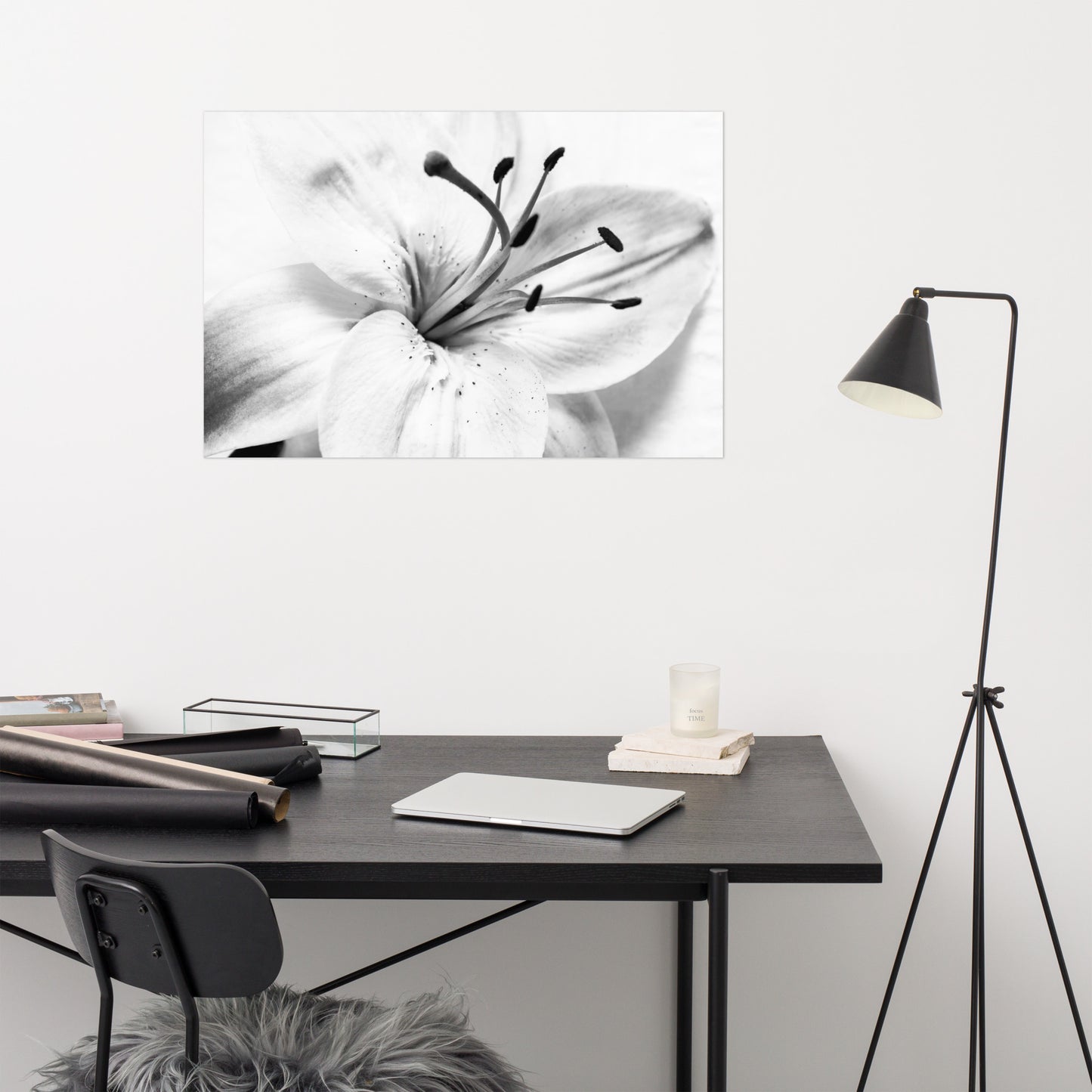 High Key Lily Floral Nature Photo Loose Unframed Wall Art Prints
