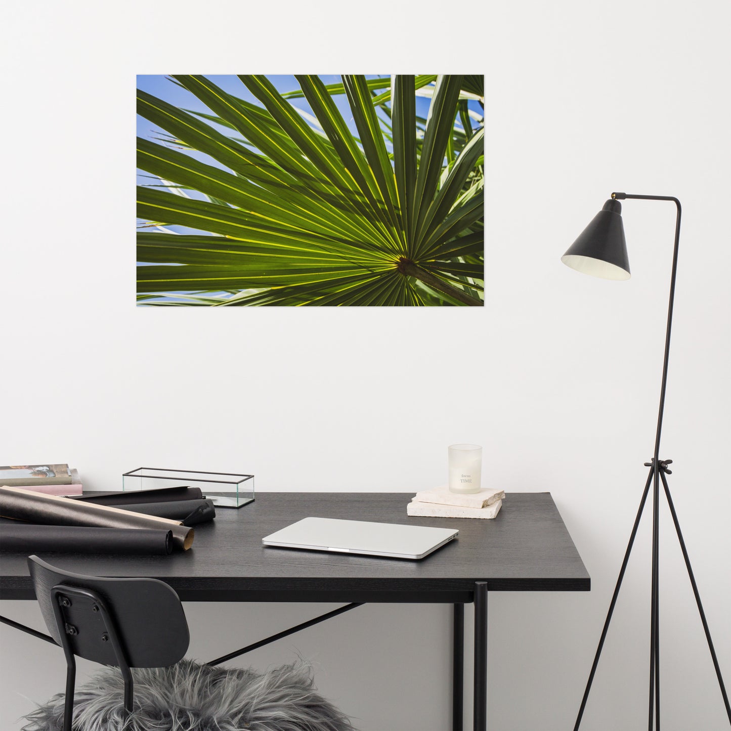 Colorized Wide Palm Leaves Botanical Nature Photo Loose Unframed Wall Art Prints