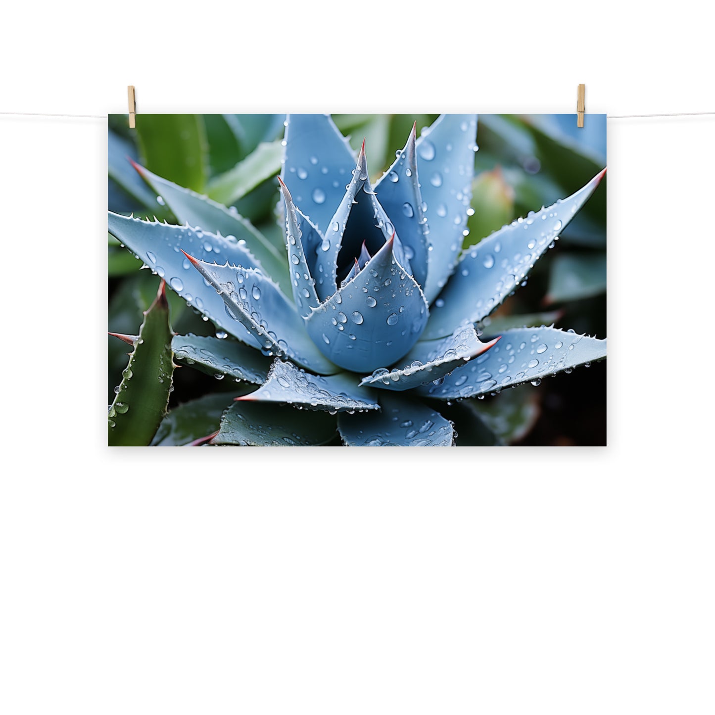 Botanical Painting: Delicate Agave Rustic Photorealism - Digital Artwork Loose Art Print