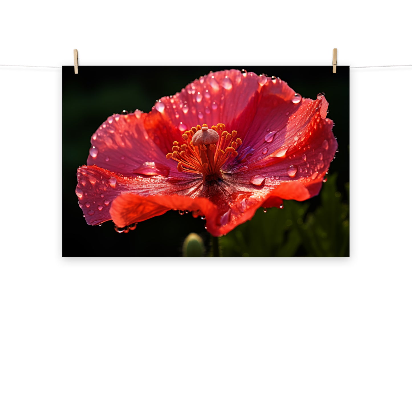 Sanguine Solitaire Photorealism - Digital Artwork Loose Art Print