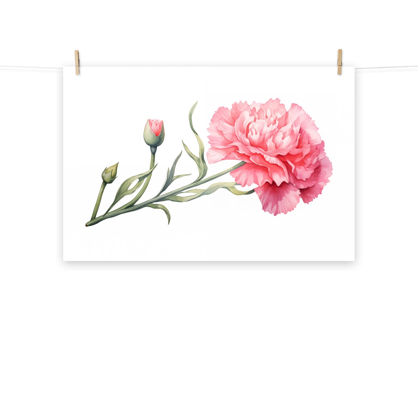 Watercolor Carnation Painting - Digital Artwork Loose Art Print