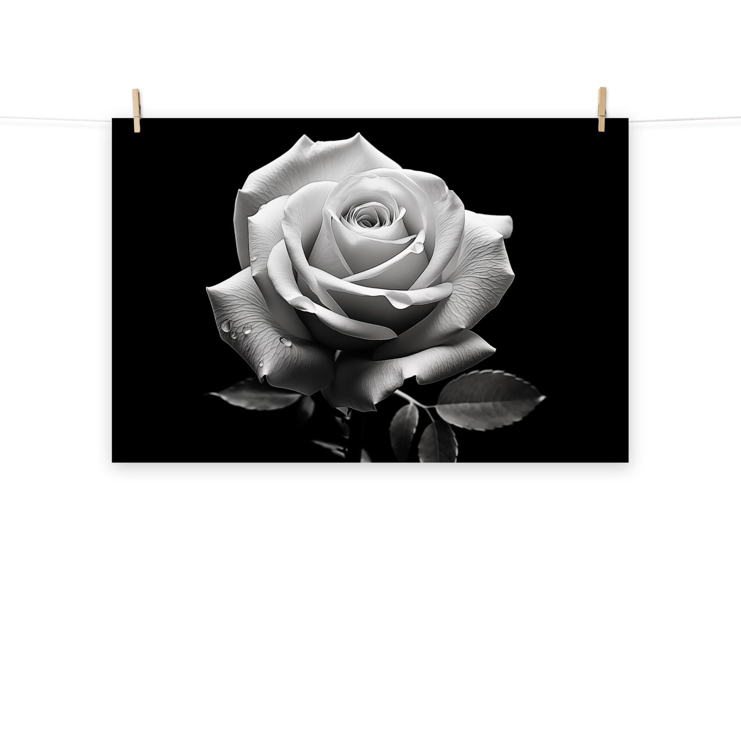 Whispering Petals Black and White Rose Photorealism - Digital Artwork Loose Art Print