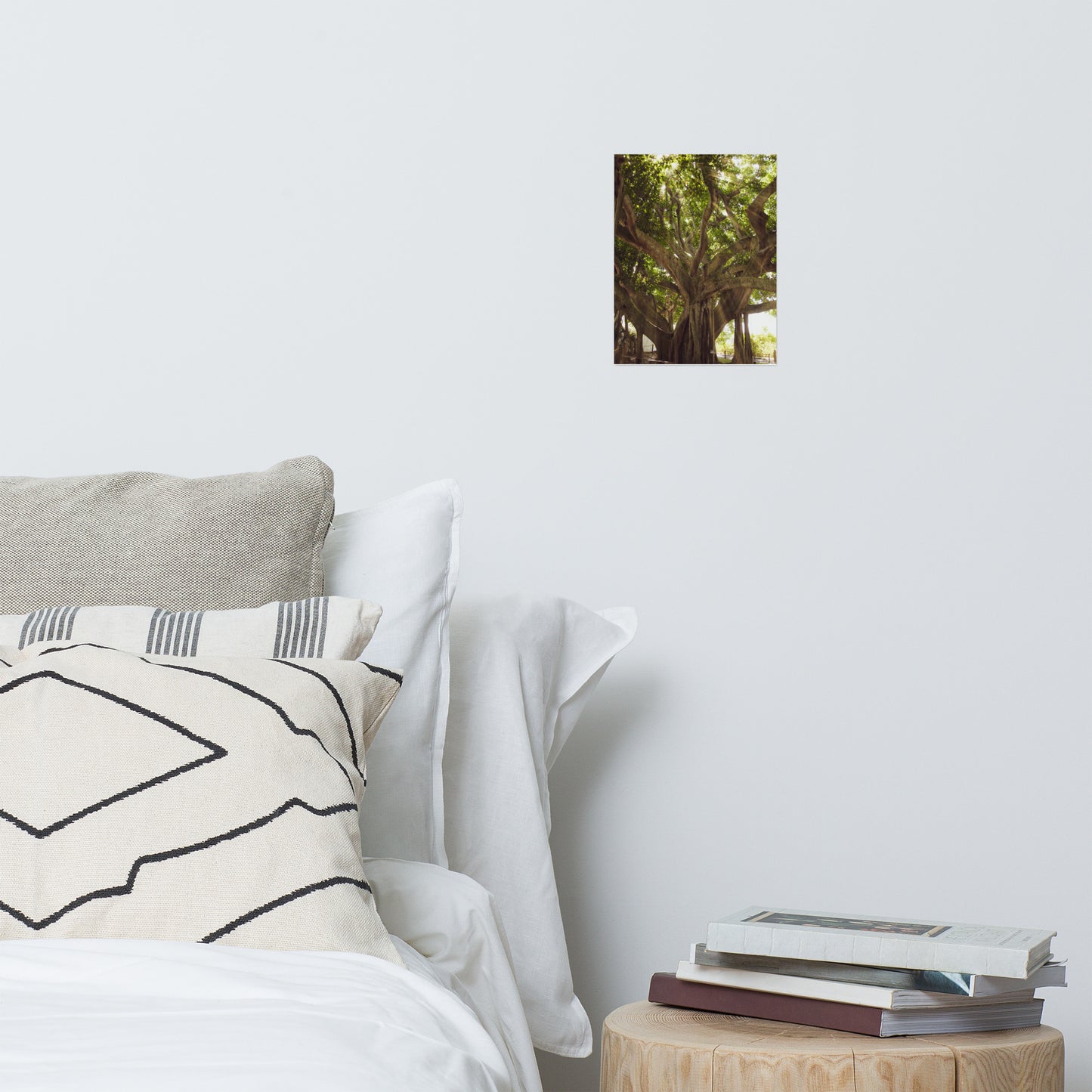 Banyan Tree With Glory Rays of Sunlight Botanical Nature Photo Loose Unframed Wall Art Prints