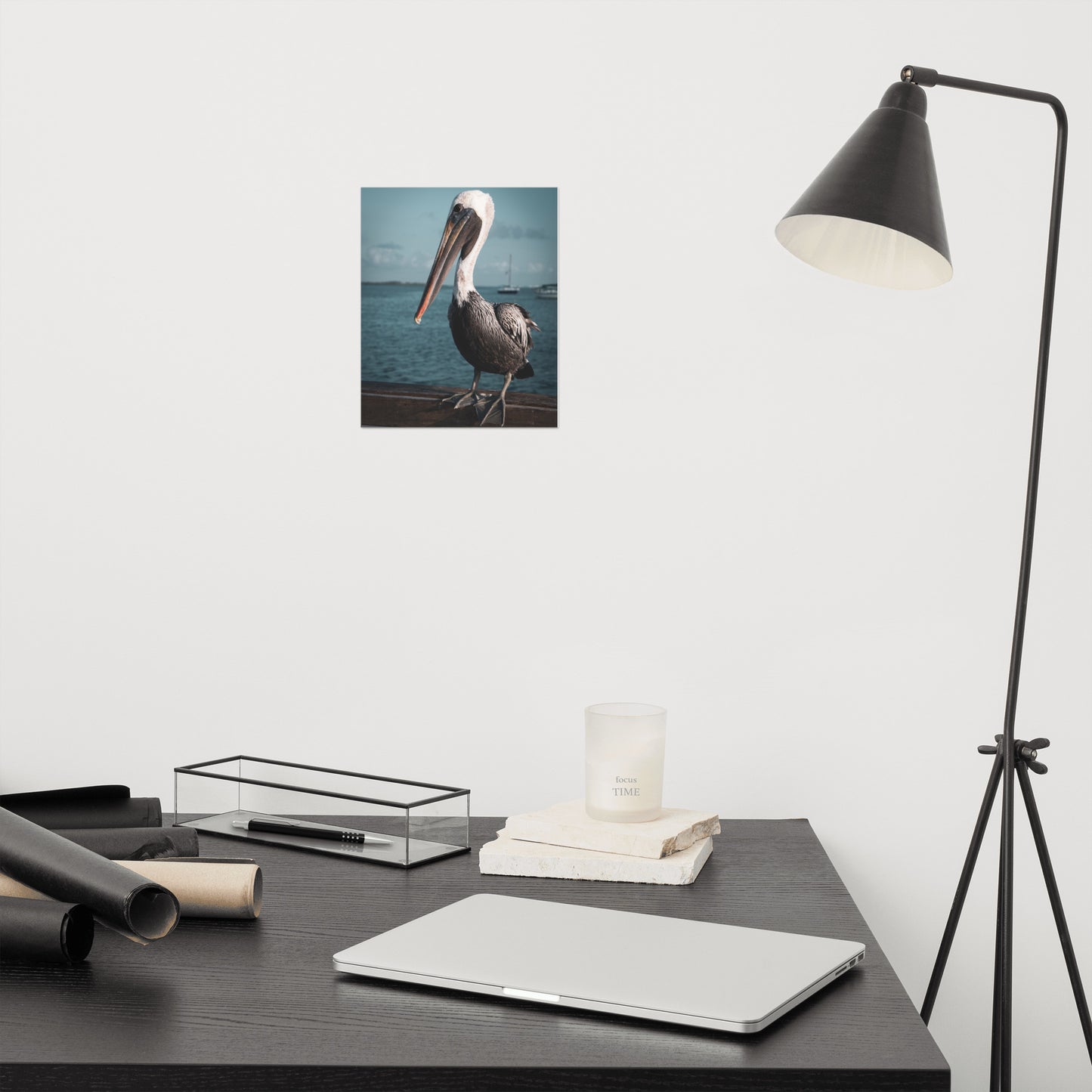 Bob The Pelican 2 Colorized Loose Wall Art Print