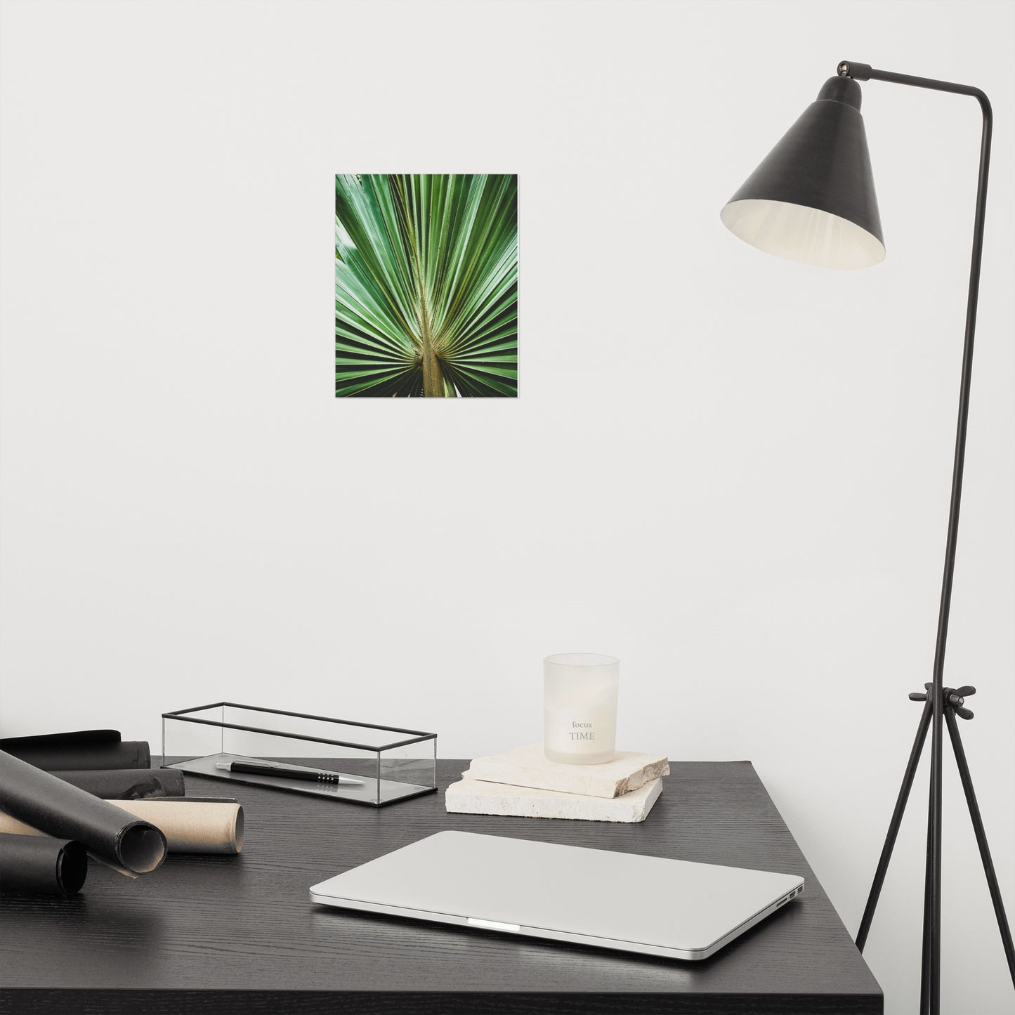 Pediatric Office Wall Decor: Aged and Colorized Wide Palm Leaves 2 - Botanical / Plants / Nature Photograph Loose / Unframed Wall Art Print - Artwork