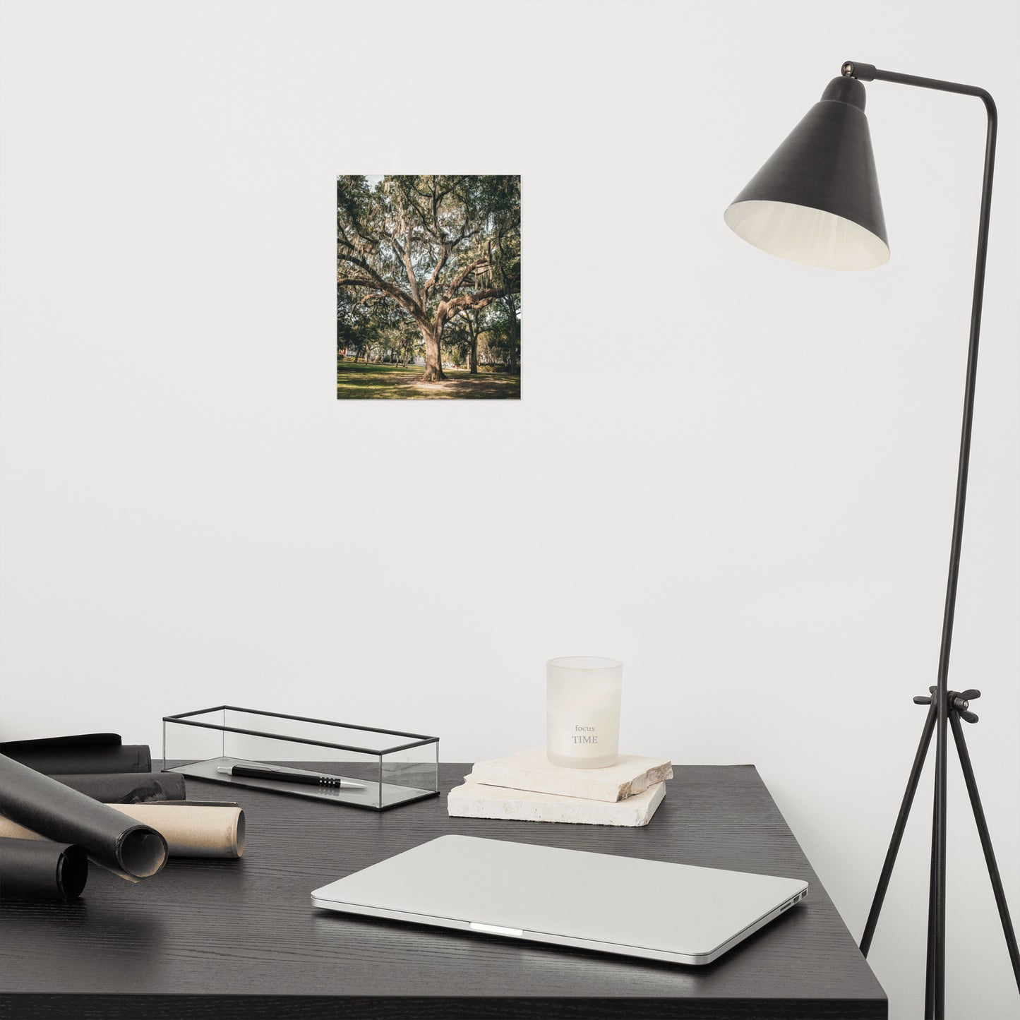 Live Oak Tree & Spanish Moss Forsyth Park Savannah Ga Rustic Farmhouse Style Nature Photo Loose Wall Art Print