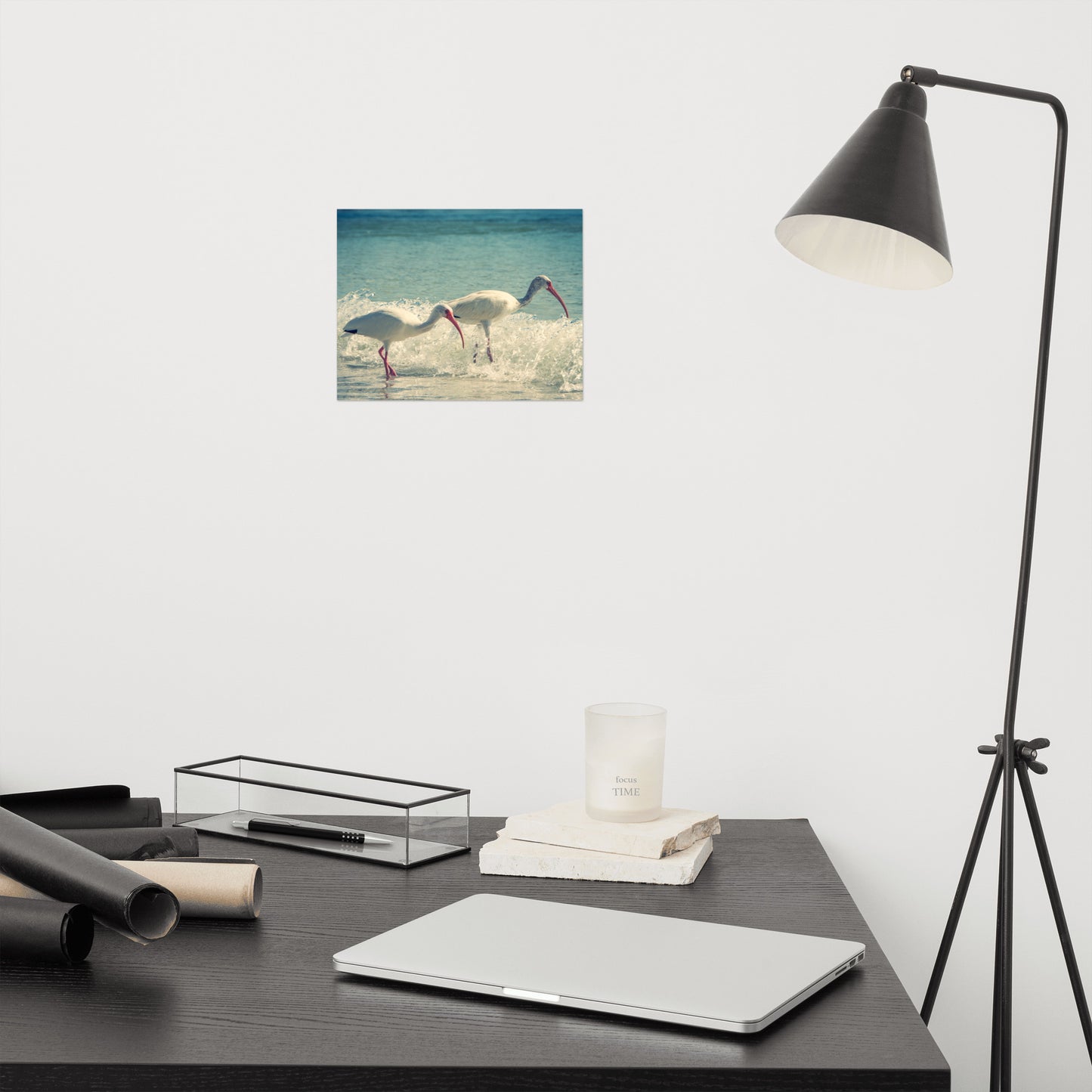 White Ibises on the Shore Colorized Coastal Wildlife Photo Loose Wall Art Print
