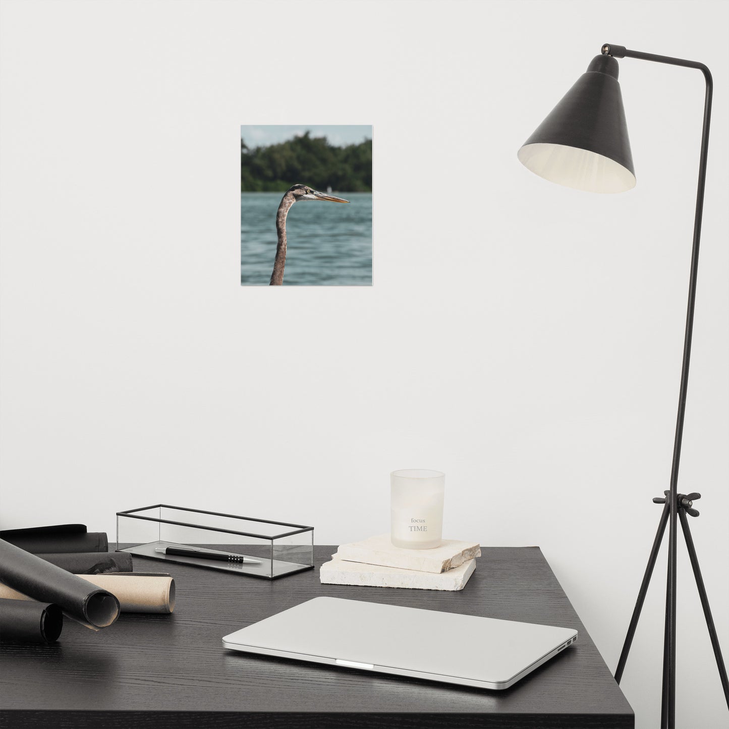 Heron in the Sound Bird / Animal / Wildlife Photo Loose Wall Art Print