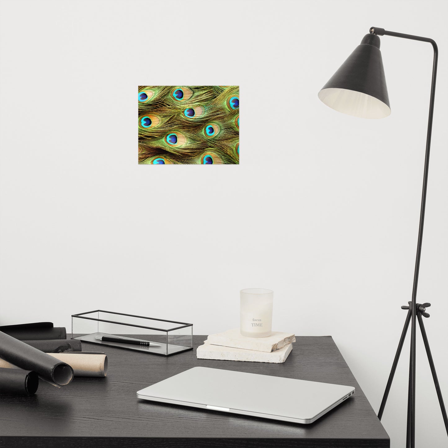 Peacock Feathers Close-Up Minimal Wildlife Wall Art Prints - Loose - Unframed