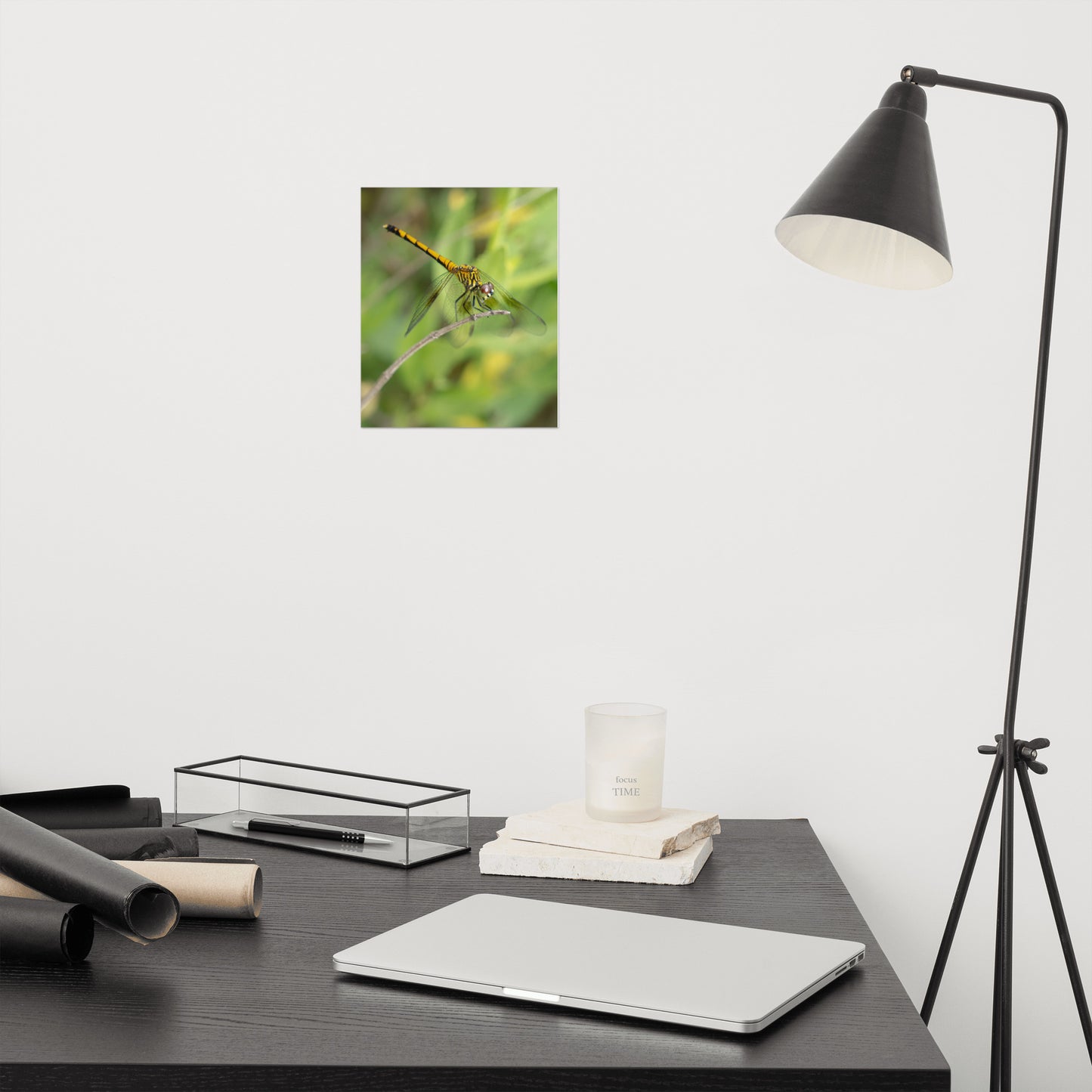 Dragonfly on Twig Wildlife Farmhouse Style Photograph Loose Wall Art Print