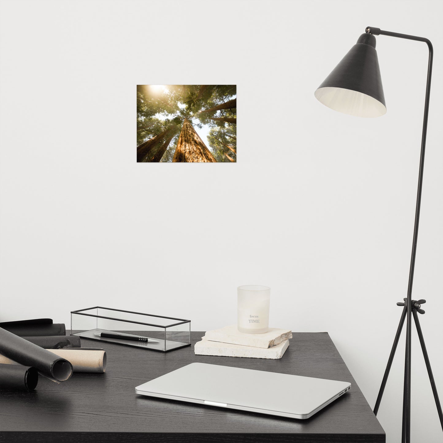 Looking Up Pine Trees Rustic Farmhouse Style Botanical Nature Photograph Loose Wall Art Print