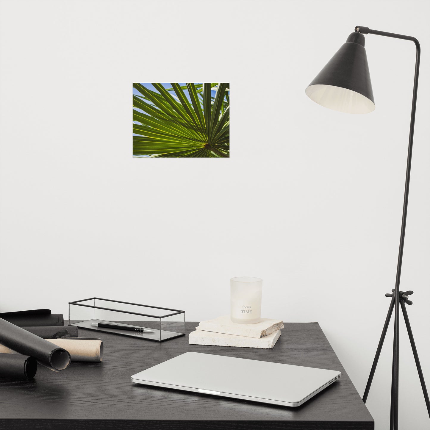 Colorized Wide Palm Leaves Botanical Nature Photo Loose Unframed Wall Art Prints