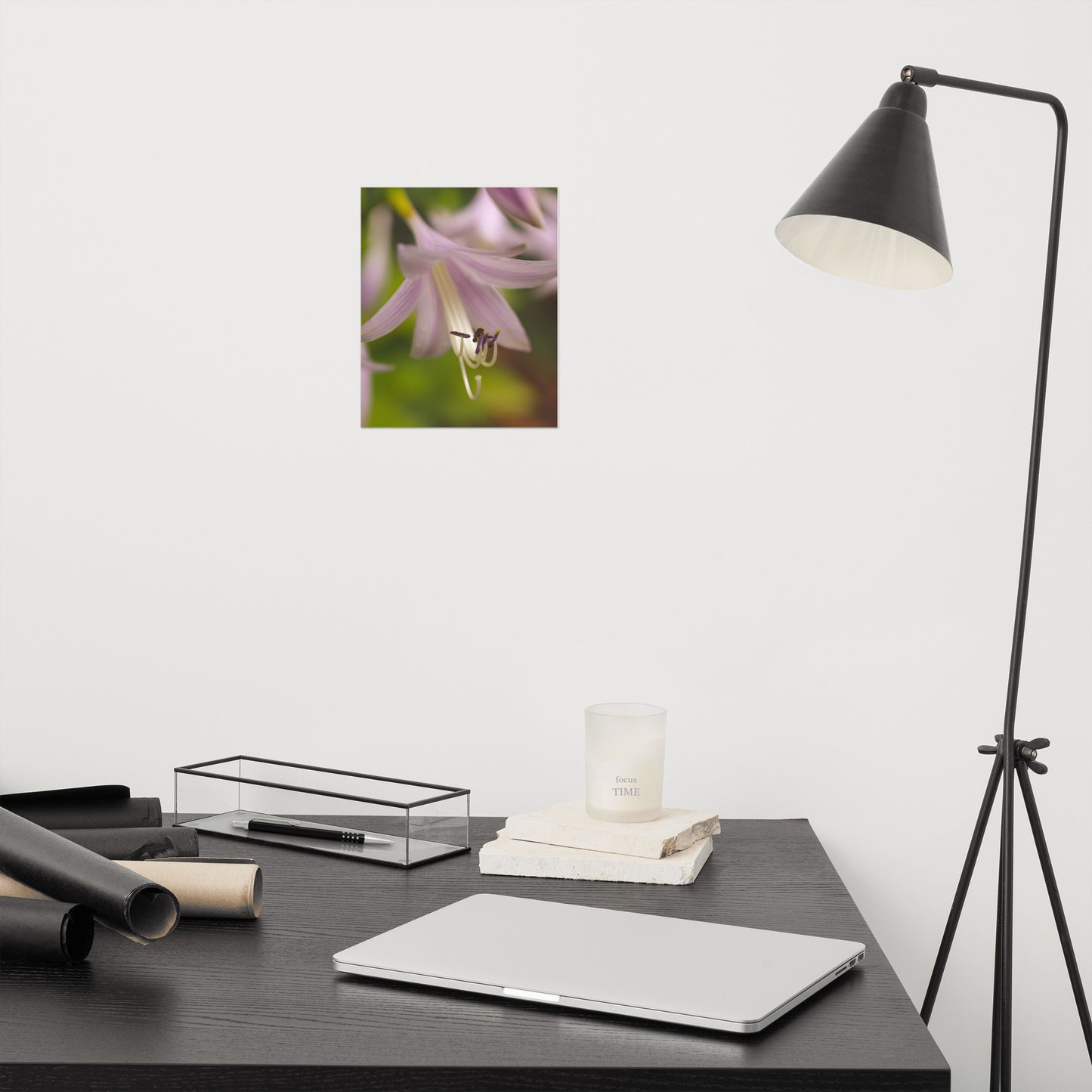 Close-up Hosta Bloom Floral Nature Photo Loose Unframed Wall Art Prints