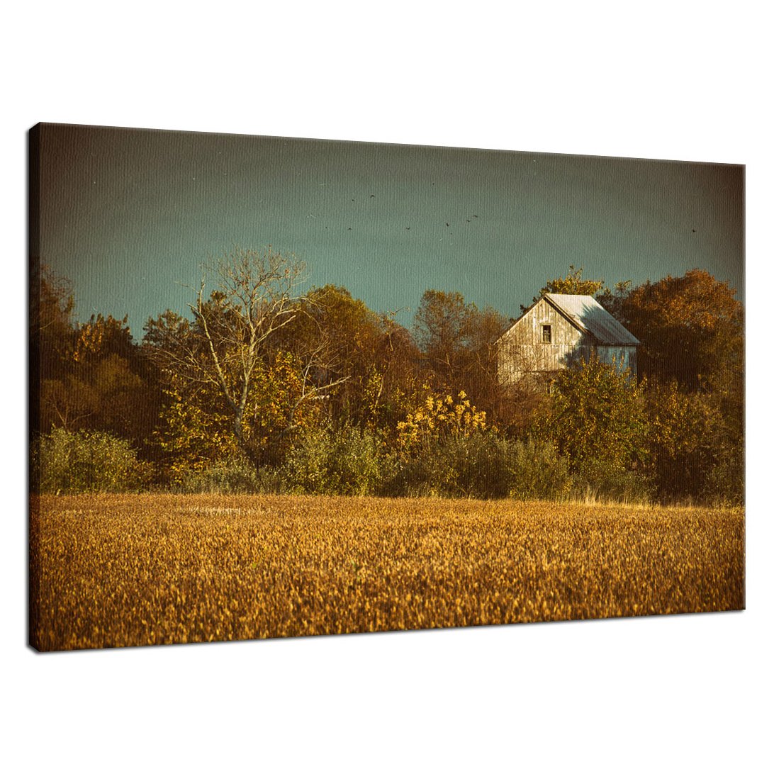 Country Living Wall Art: Abandoned Barn In The Trees Colorized Landscape Fine Art Canvas Wall Art Prints - PIPAFINEART