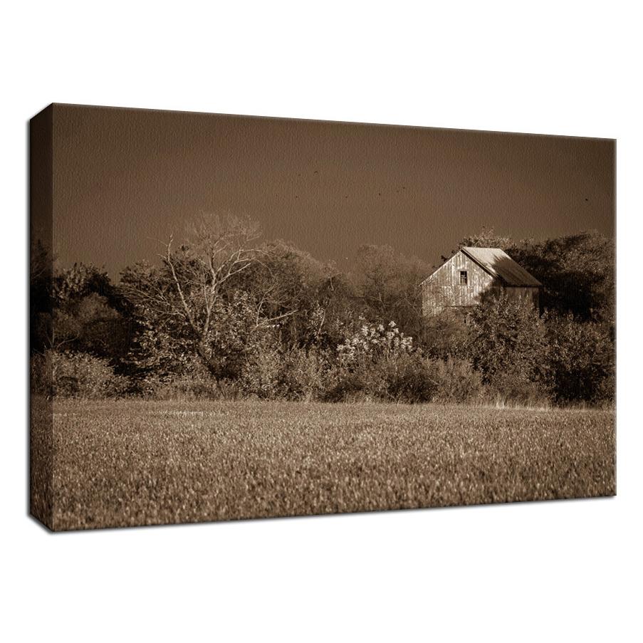 Rustic Art Wall Decor: Abandoned Barn In The Trees Sepia Landscape Fine Art Canvas Wall Art Prints - PIPAFINEART
