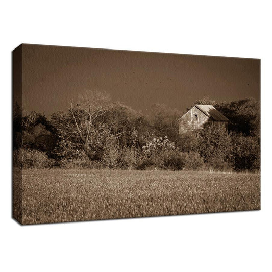 Rustic Art Wall Decor: Abandoned Barn In The Trees Sepia Landscape Fine Art Canvas Wall Art Prints  - PIPAFINEART