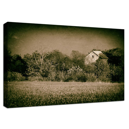 Best Canvas Art: Abandoned Barn In The Trees Vintage Rural Landscape Fine Art Canvas Wall Art Prints  - PIPAFINEART