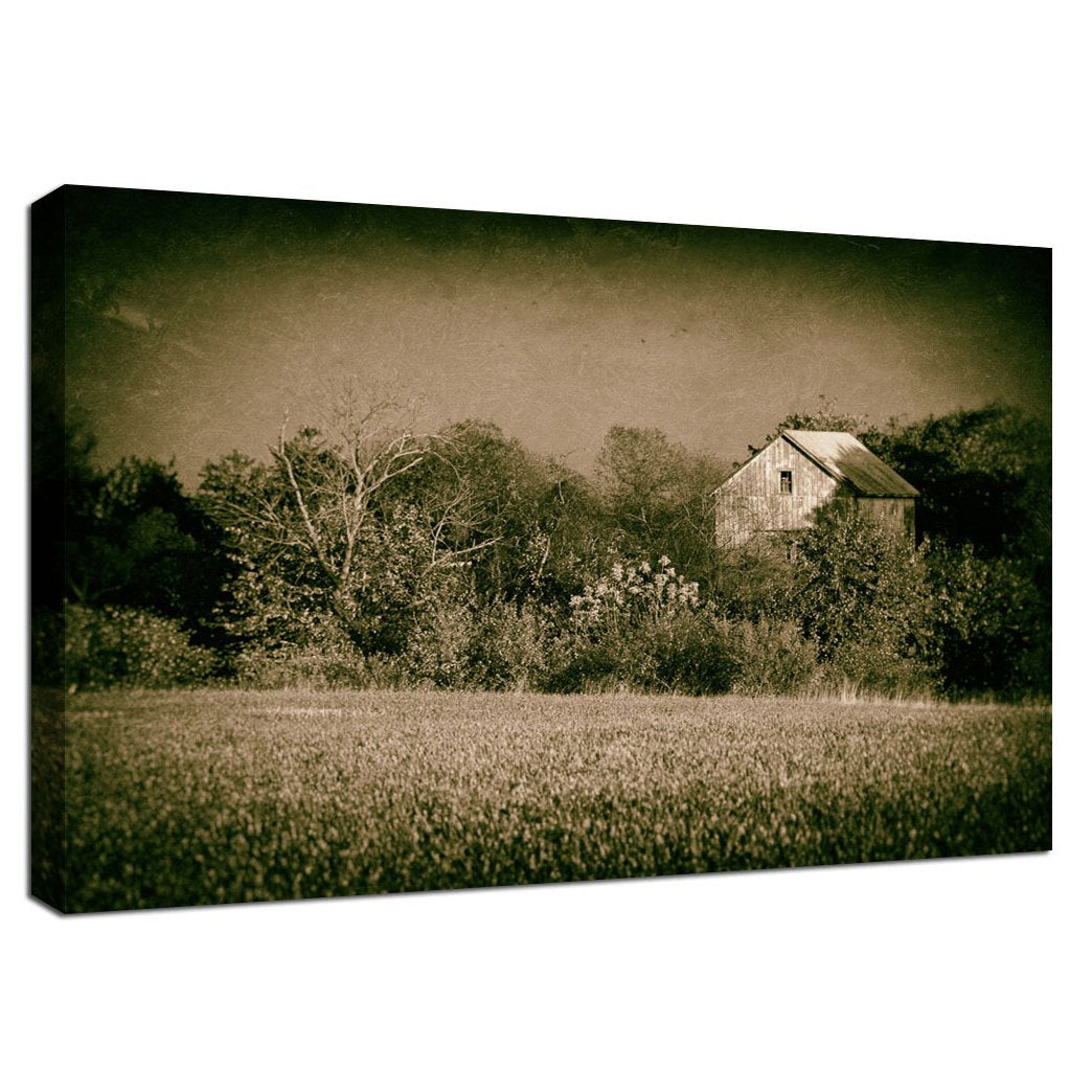 Best Canvas Art: Abandoned Barn In The Trees Vintage Rural Landscape Fine Art Canvas Wall Art Prints - PIPAFINEART