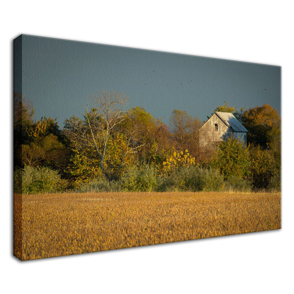 Large Rustic Canvas: Abandoned Barn In The Trees Rural Landscape Photo Fine Art - Wall Art Prints - PIPAFINEART