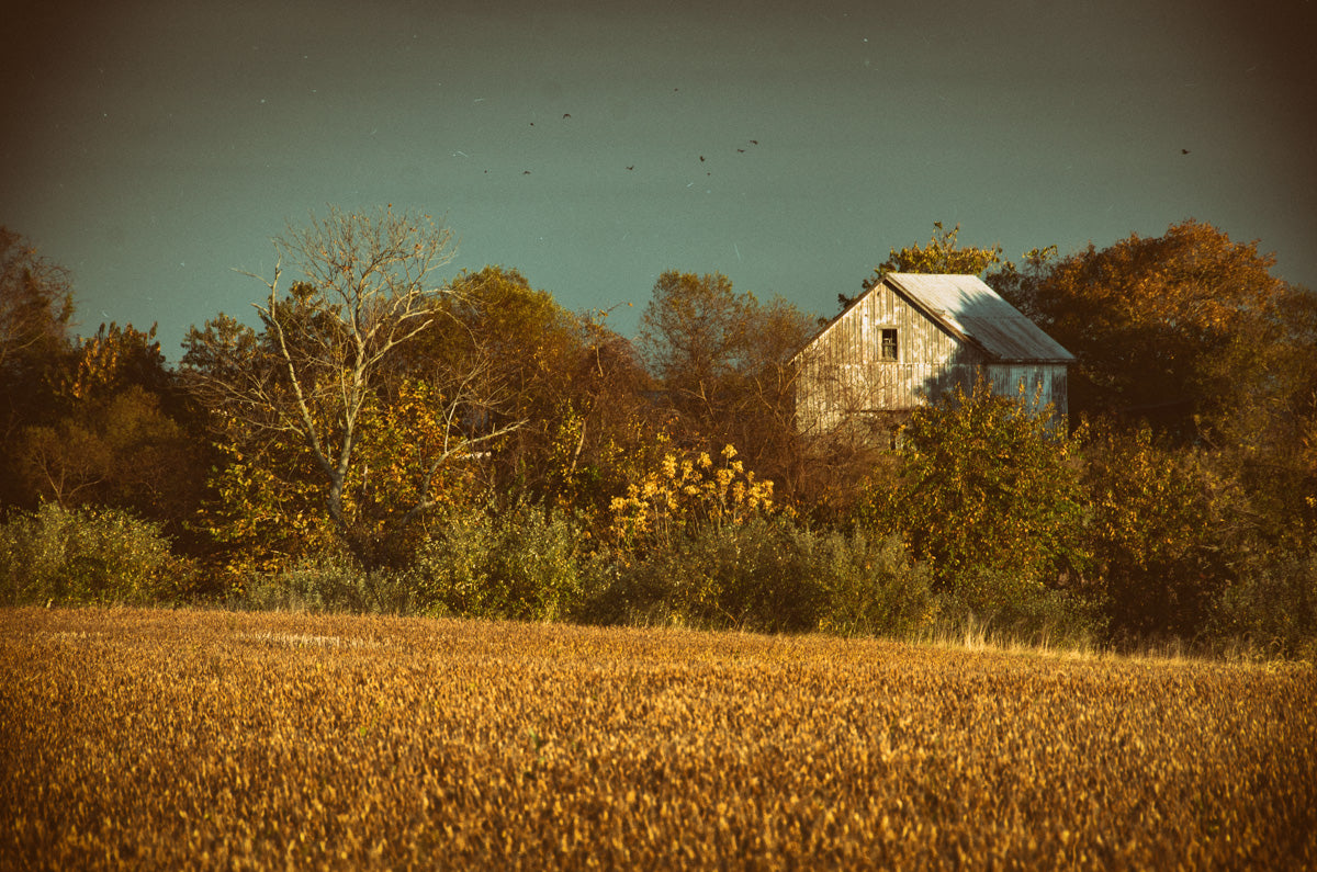 Aesthetic Wall Decor Printable: Abandoned Barn Colorized Landscape Photo DIY Wall Decor Instant Download Print - Printable  - PIPAFINEART