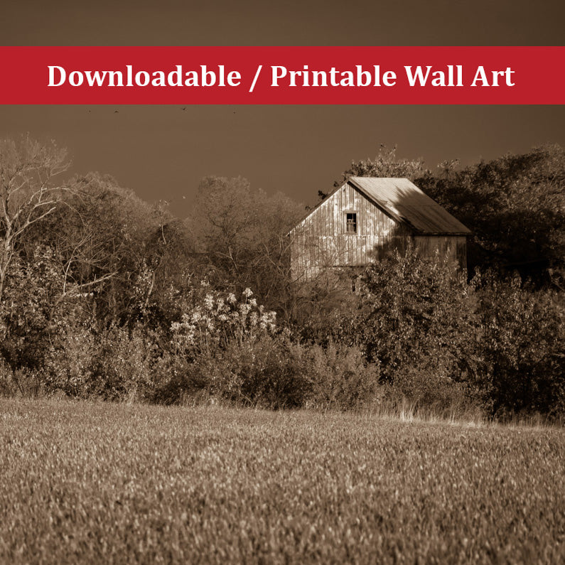 Printable Wall Art For Bathroom: Abandoned Barn In The Trees Monochromatic Landscape Photo DIY Wall Decor Instant Download Print - Printable  - PIPAFINEART