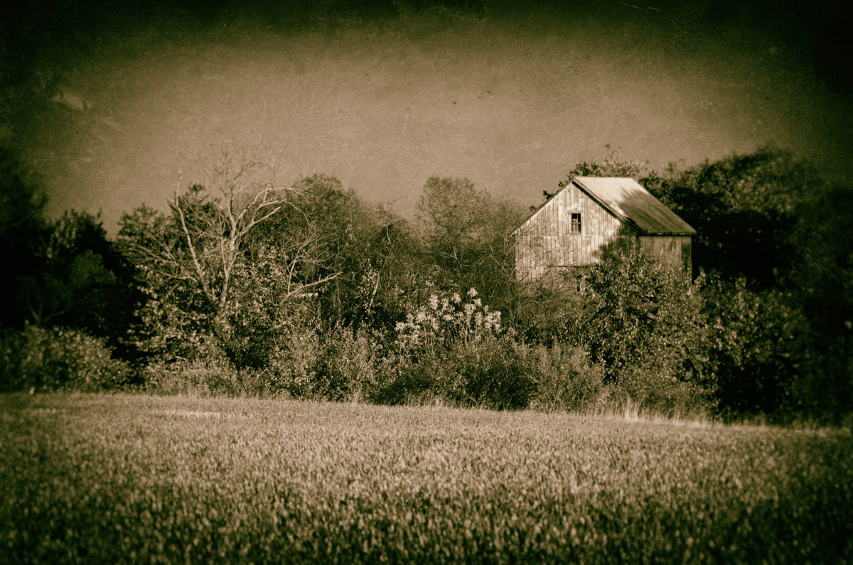 Rustic Wall Art Large: Abandoned Barn In The Trees Vintage Landscape Photo DIY Wall Decor Instant Download Print - Printable - PIPAFINEART