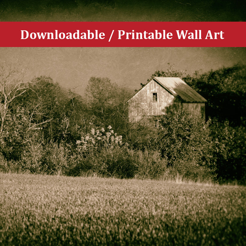 Unique Rustic Wall Art: Abandoned Barn In The Trees Vintage Landscape Photo DIY Wall Decor Instant Download Print - Printable - PIPAFINEART
